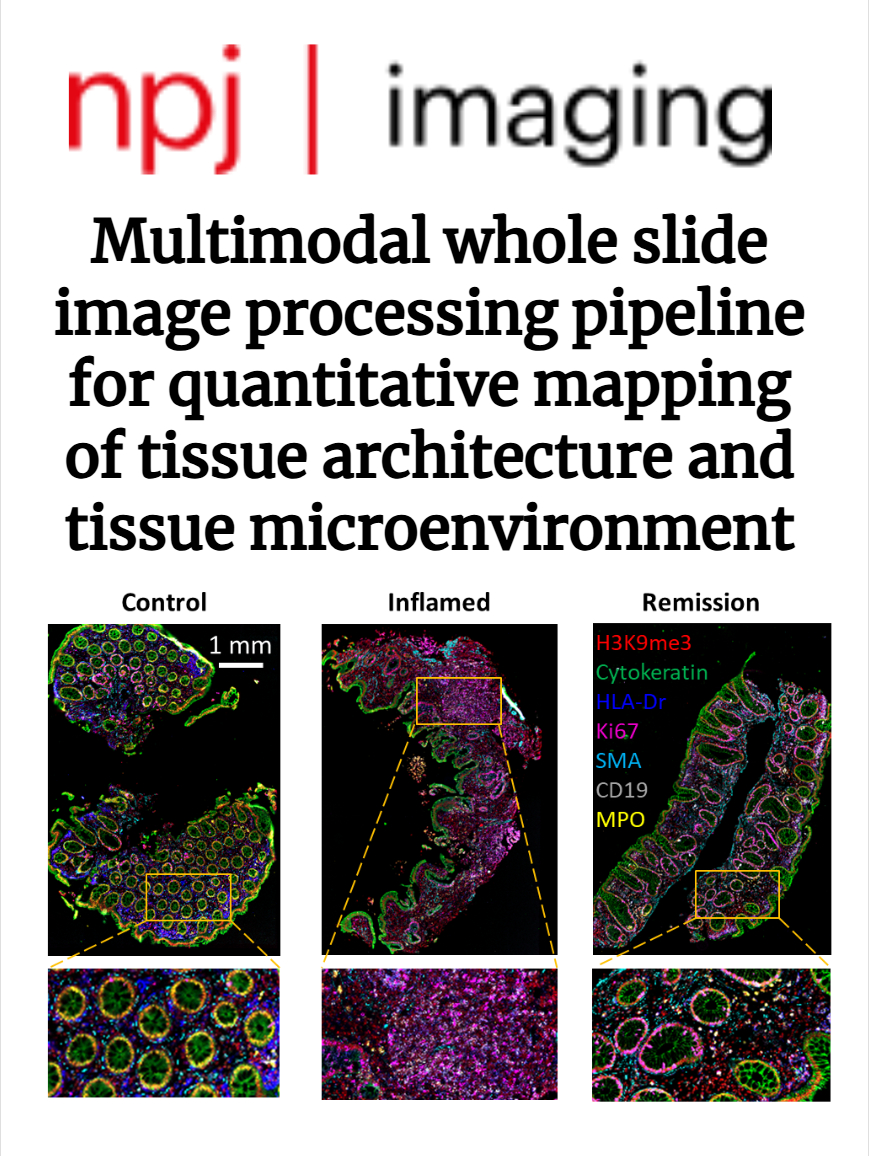 Multimodal whole slide image processing pipeline for quantitative mapping of tissue architecture and tissue microenvironment